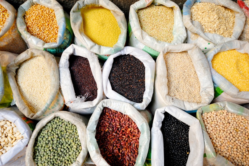 Food Grains - wheat barley millet and corn
